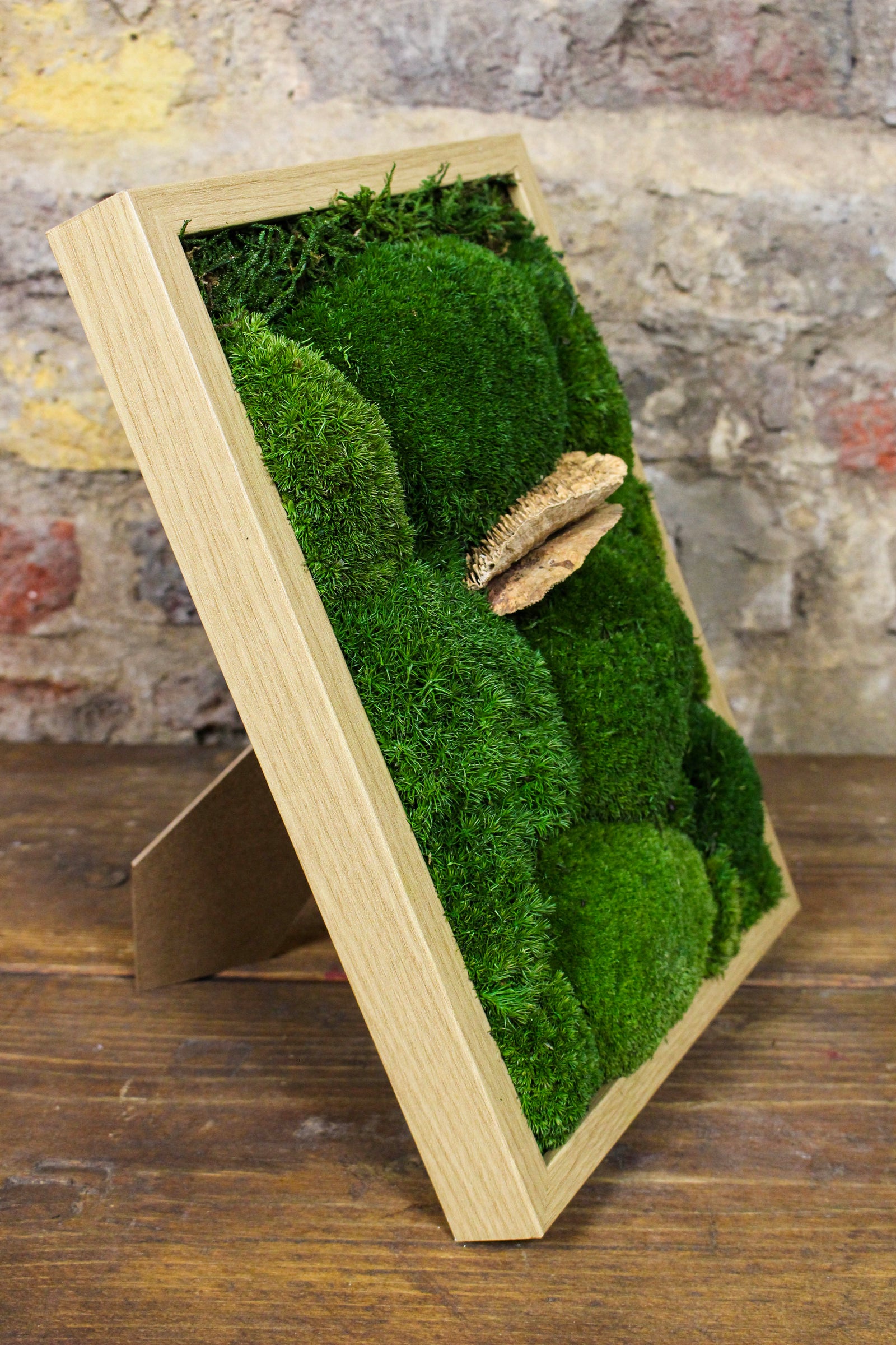 Angled view of the framed preserved moss artwork (FR92) — Botanical Boys