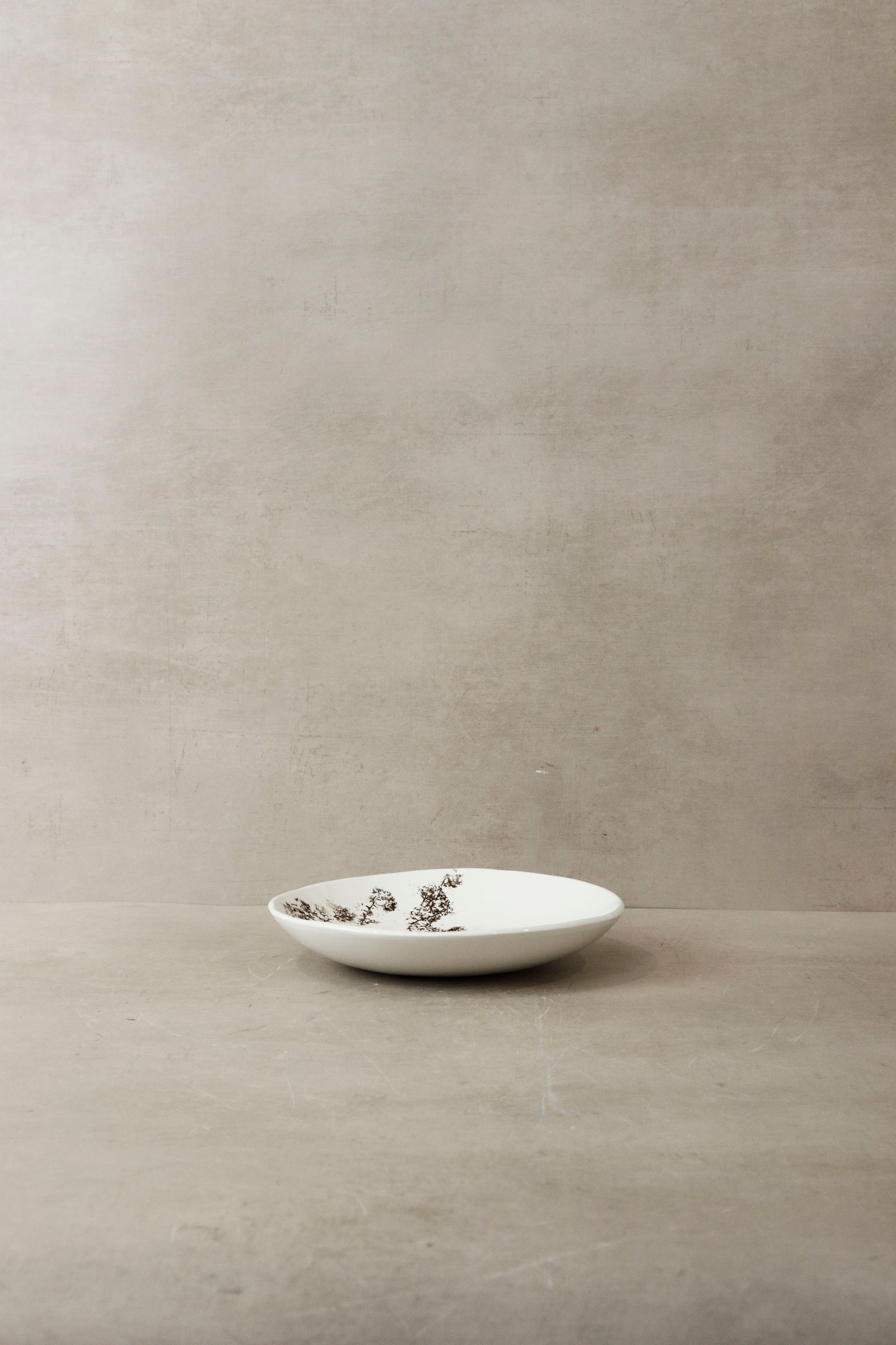 Fynbos & Bird ceramic plate n°19