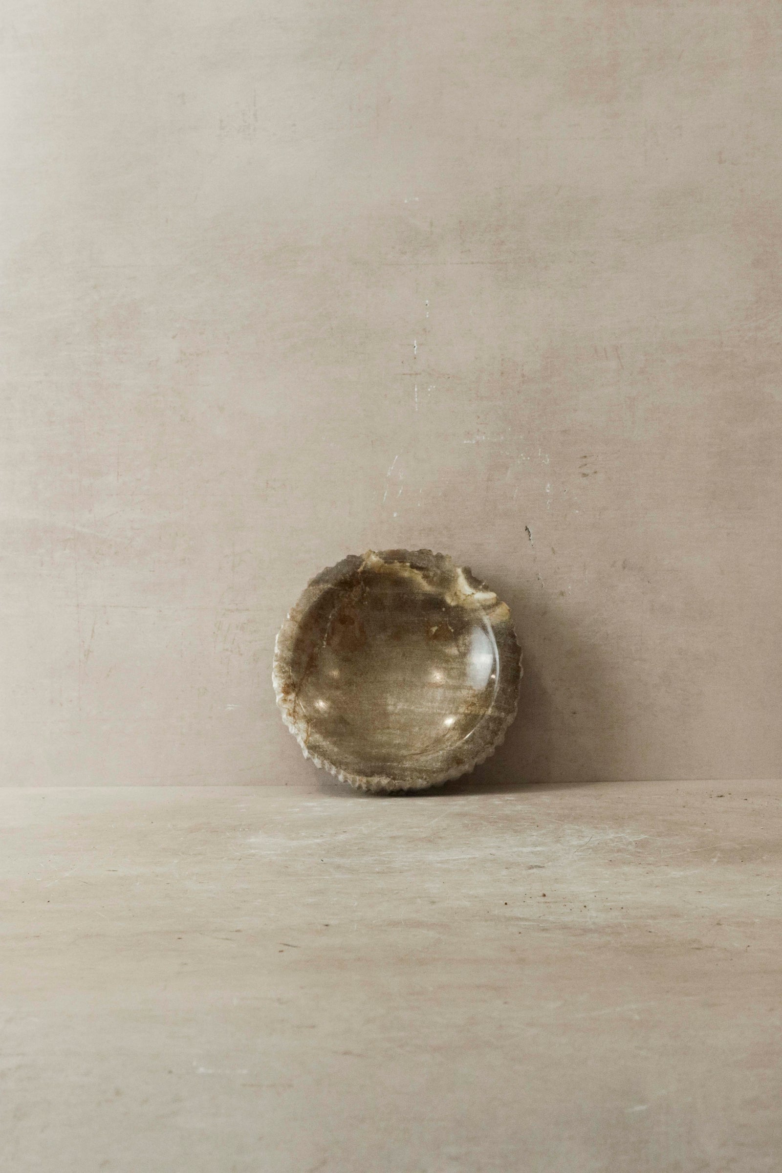 Petrified Wood Tray - 4