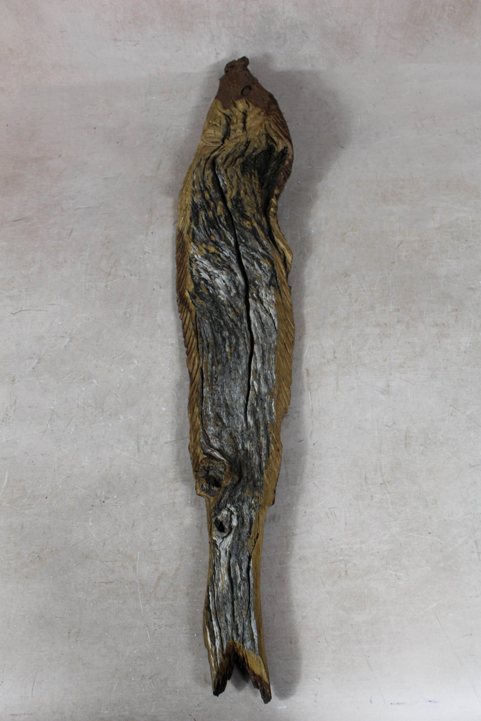 Driftwood Hand Carved Fish - 116.5