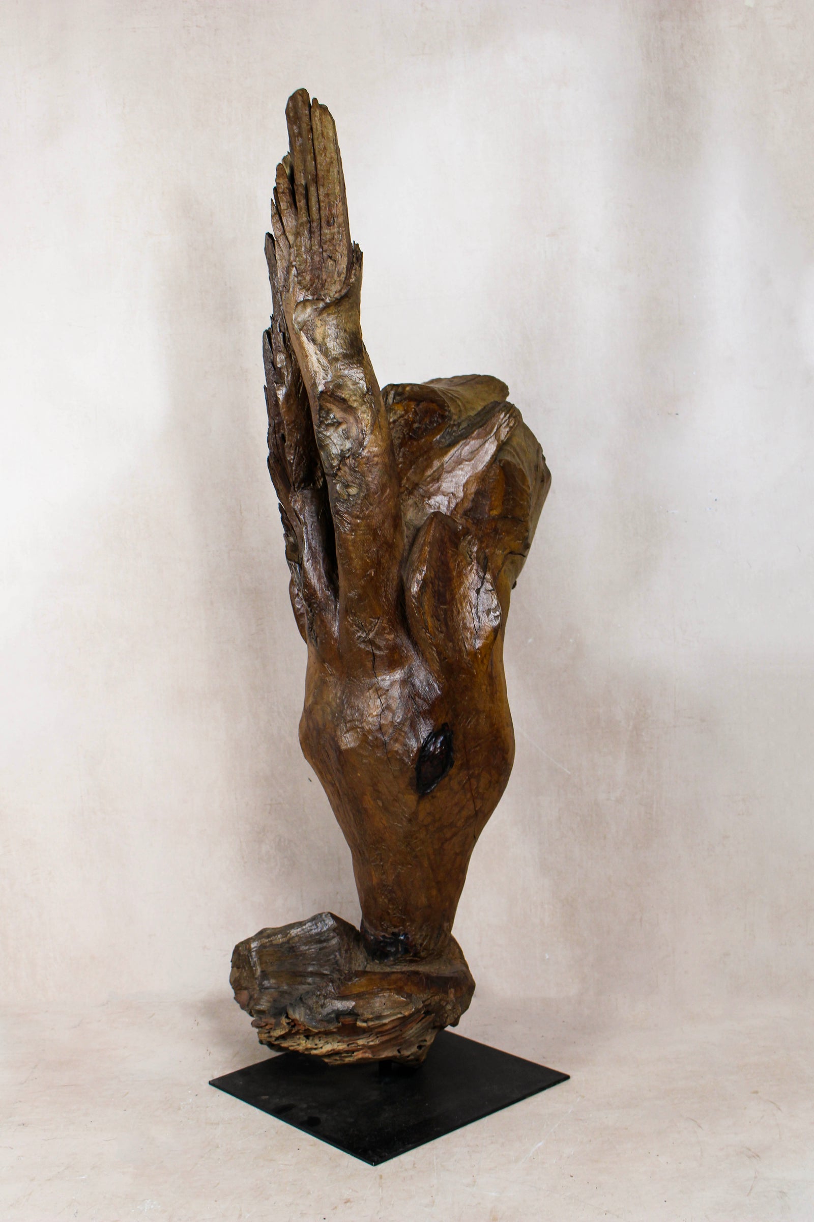 Driftwood Antelop Sculpture — detail view