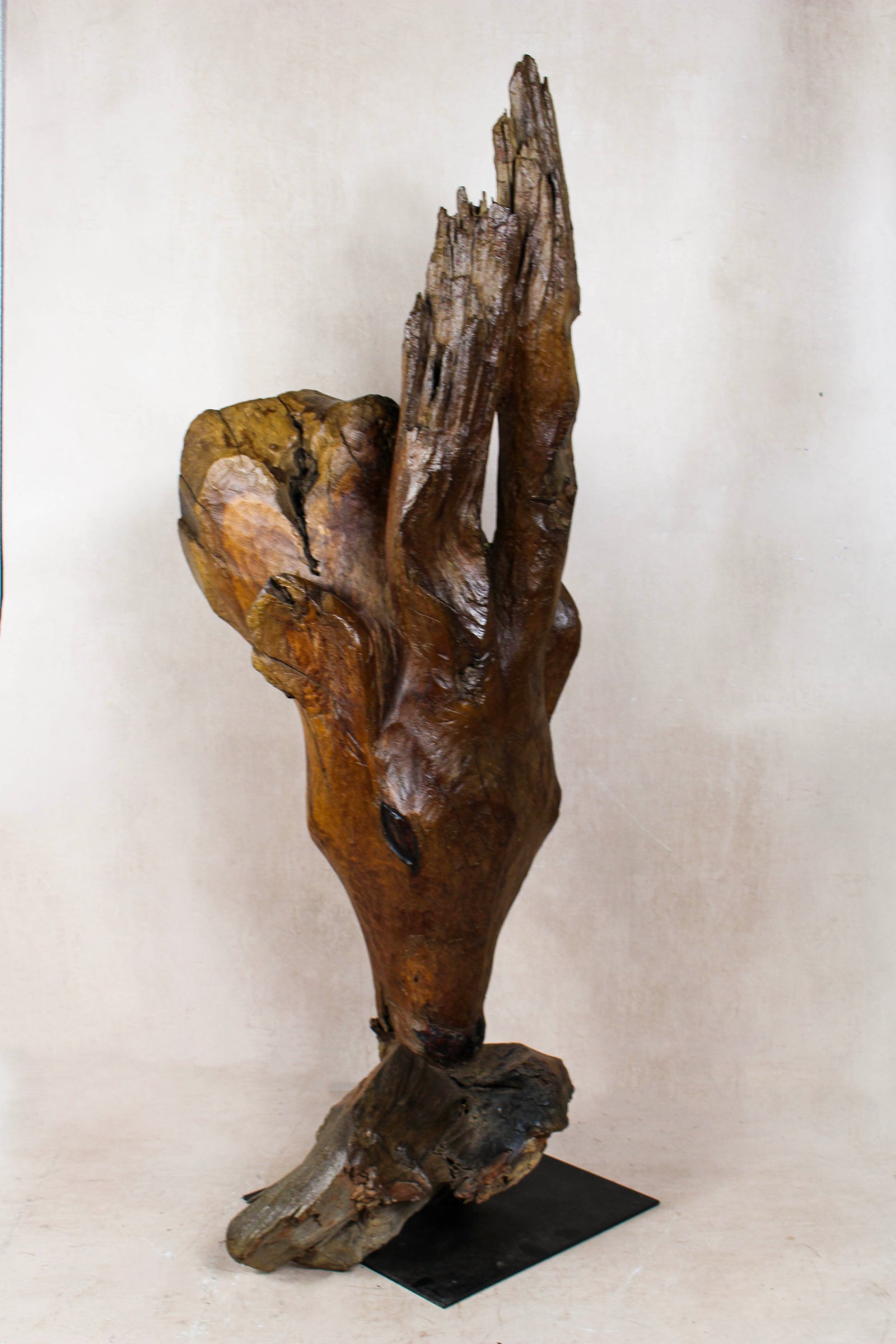 Driftwood Antelop Sculpture — another view