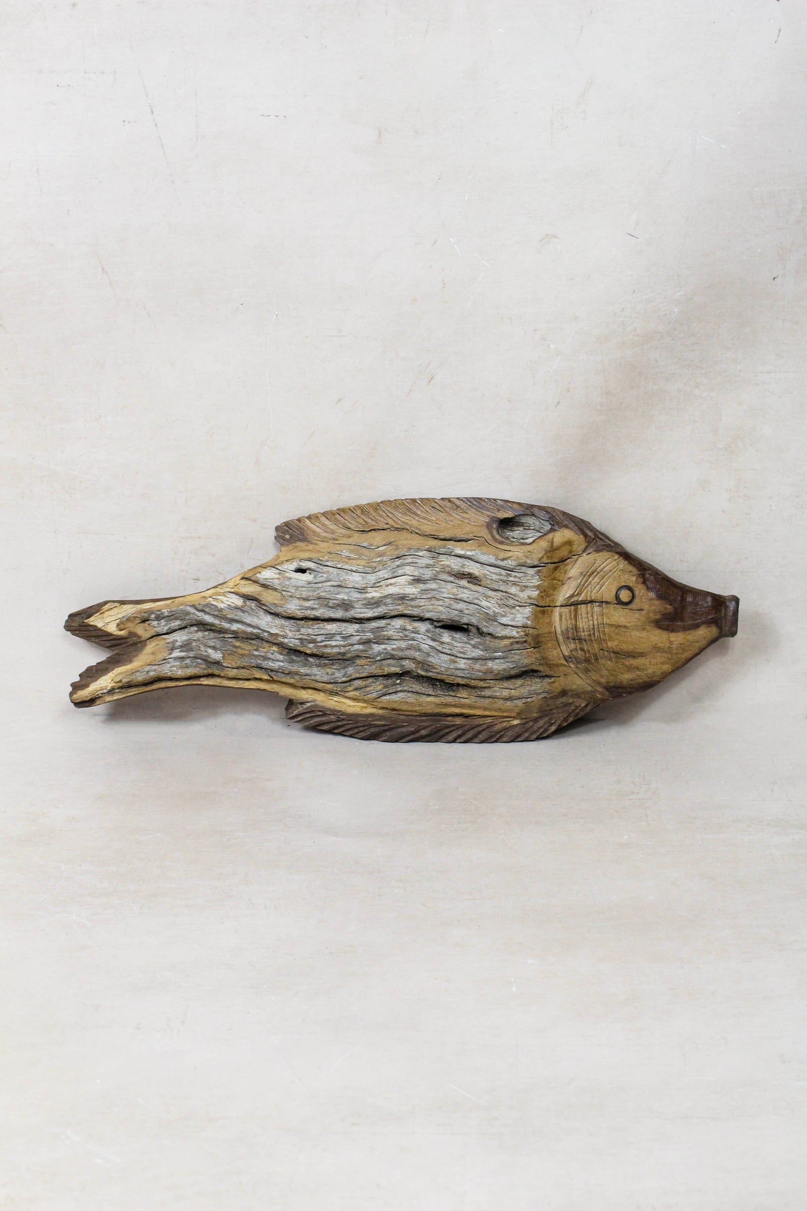 Hand-carved driftwood fish wall sculpture in weathered wood (116.9)