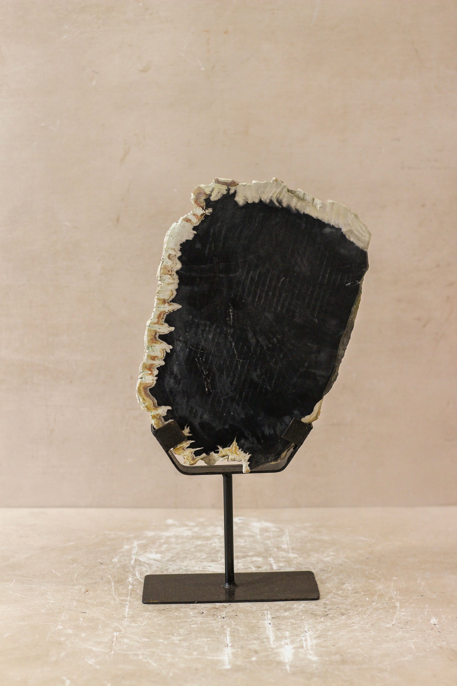 Petrified Wood Display - No 3