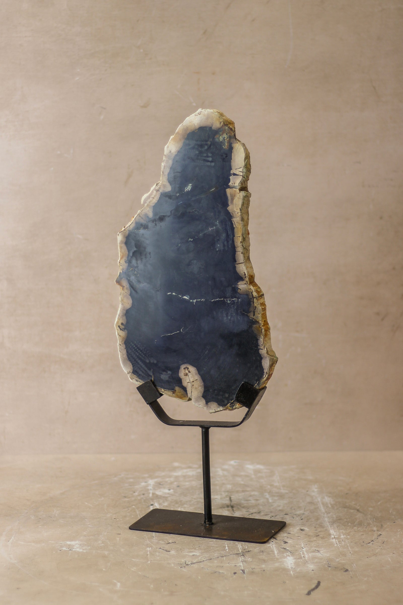 Petrified Wood Display - No 5