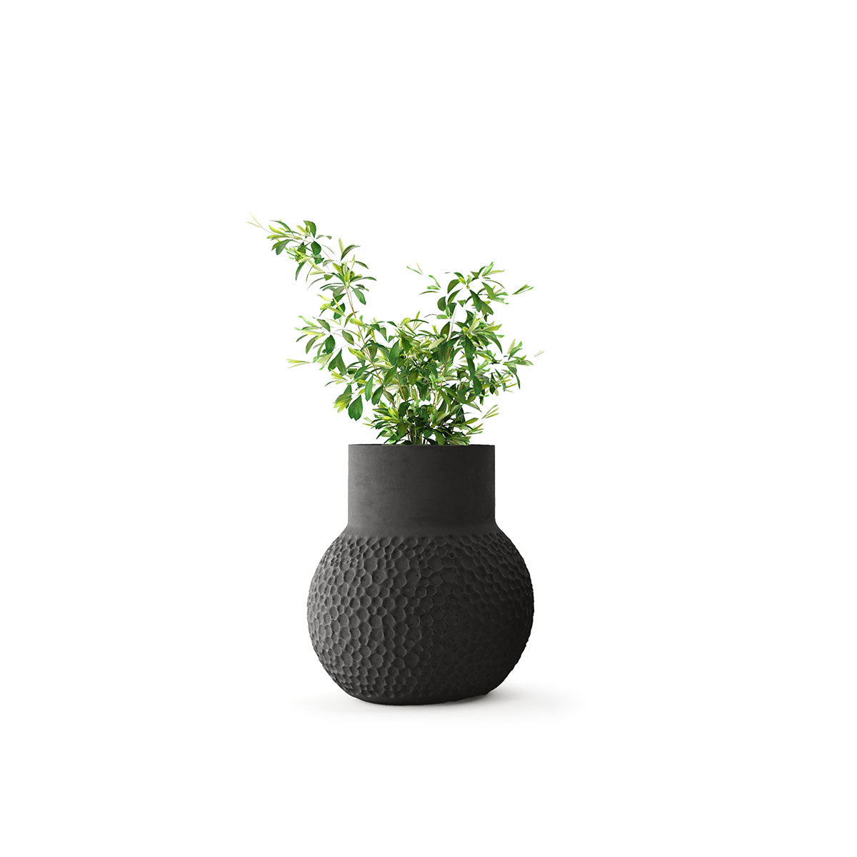 Stellar Planter