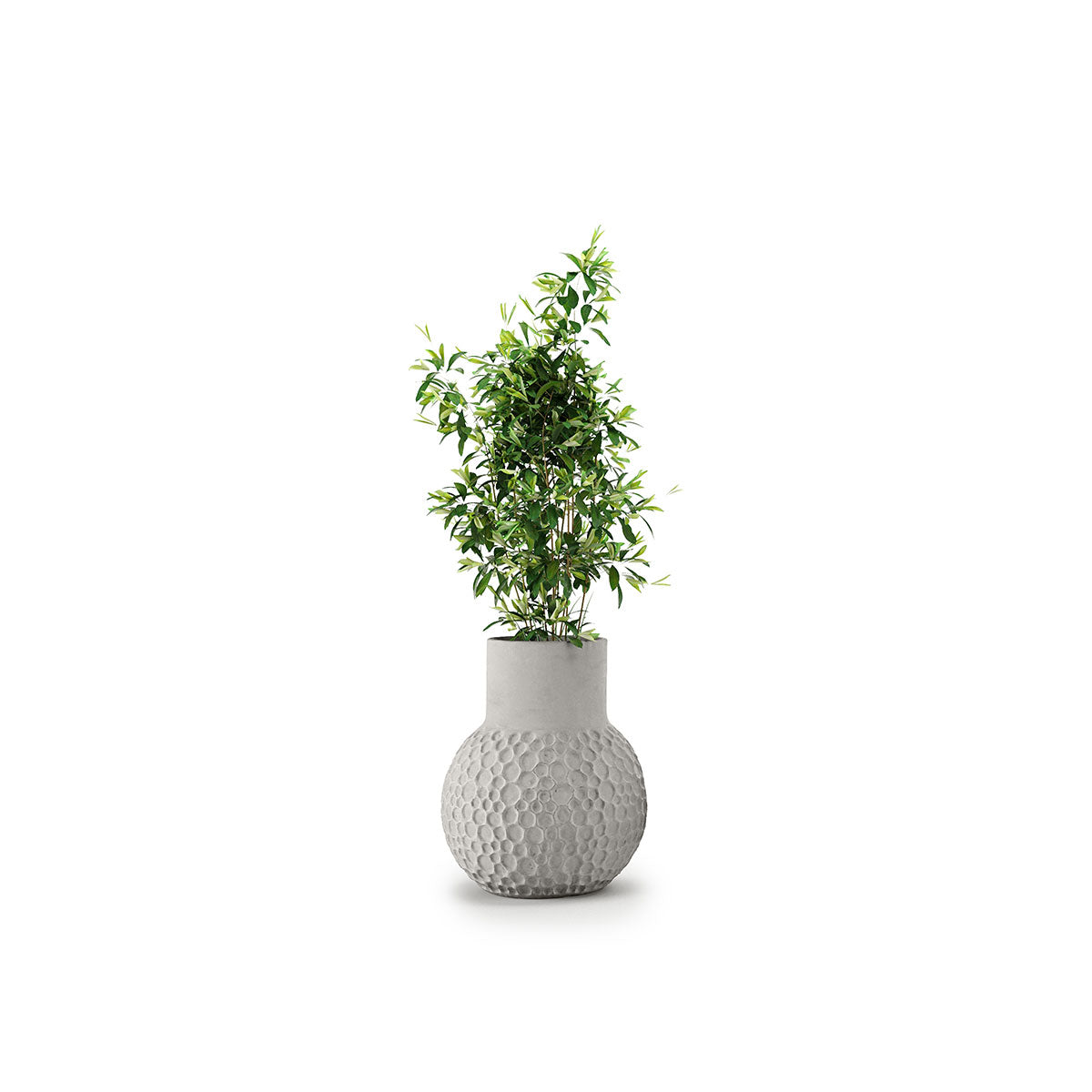 Stellar Planter