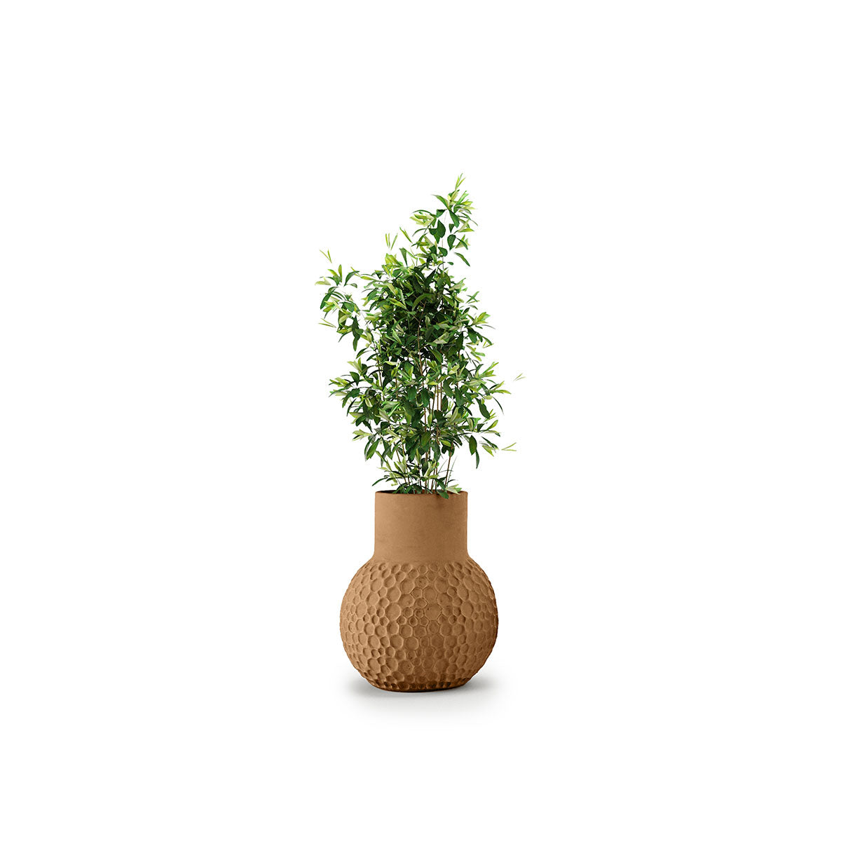 Stellar Planter