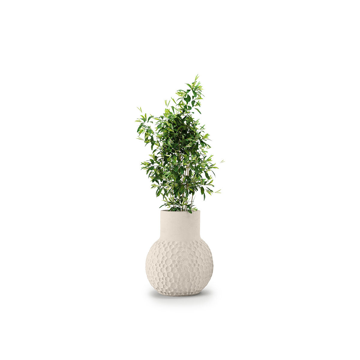 Stellar Planter