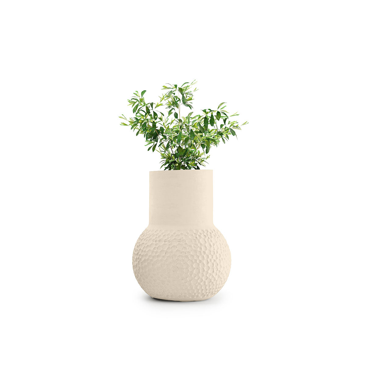 Stellar Planter