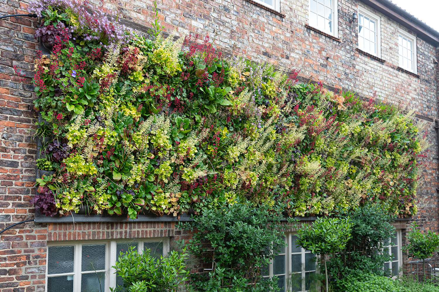 Outdoor Living Wall Panels