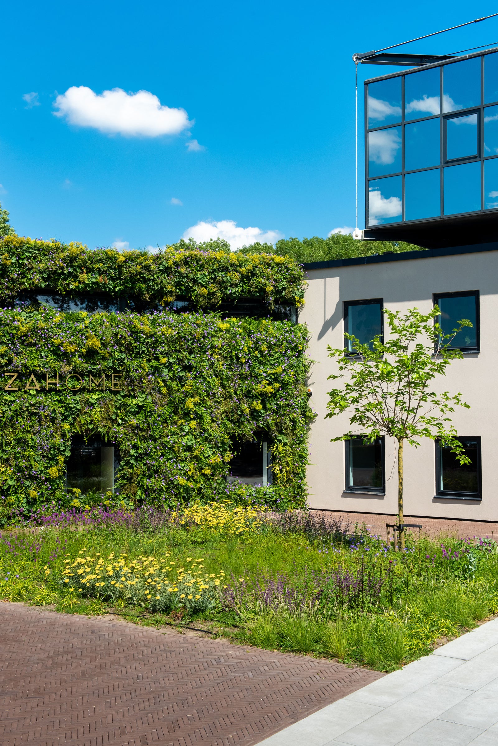 Outdoor Living Wall Panels
