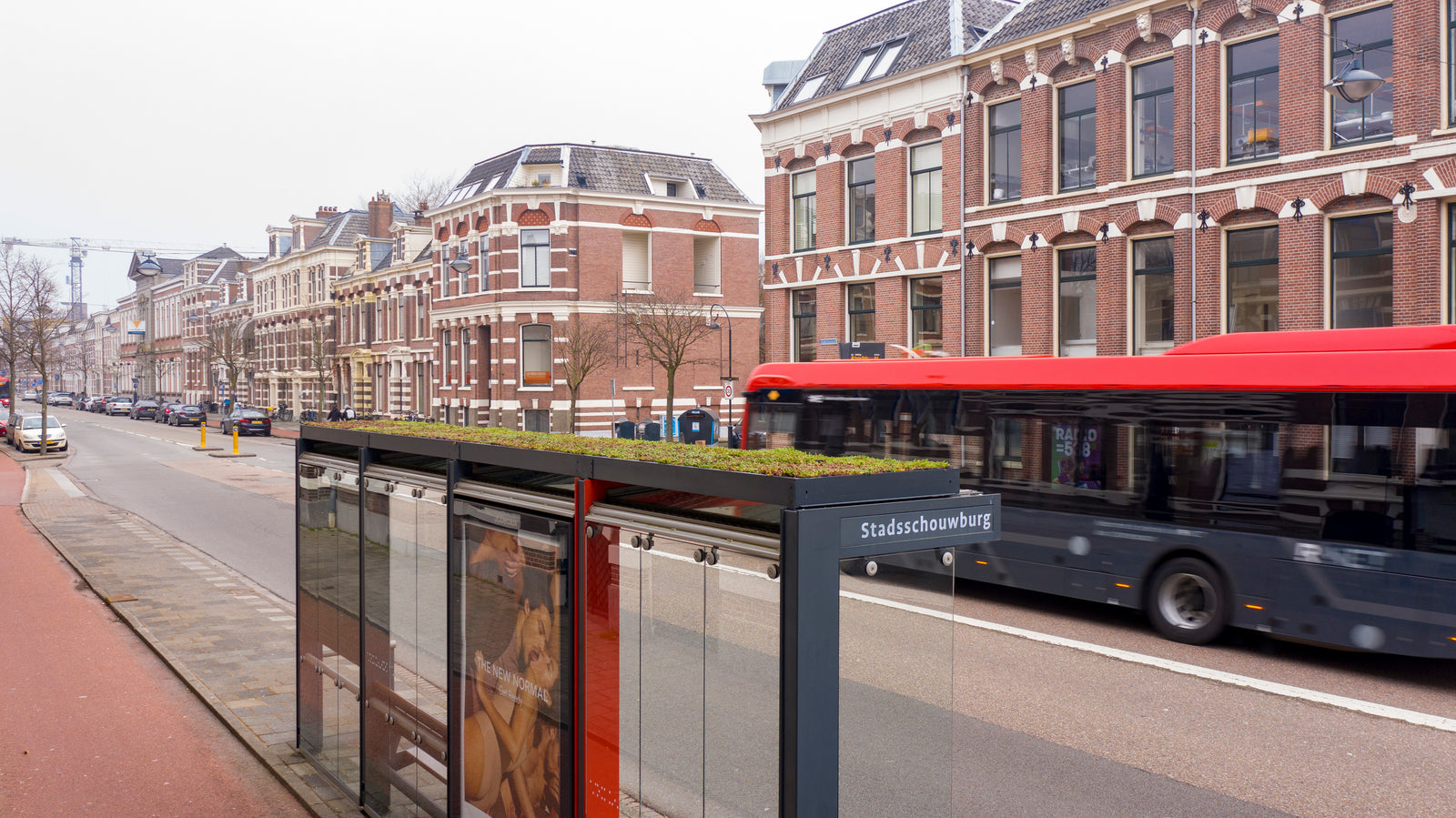 GreenRoof Sedum Panels