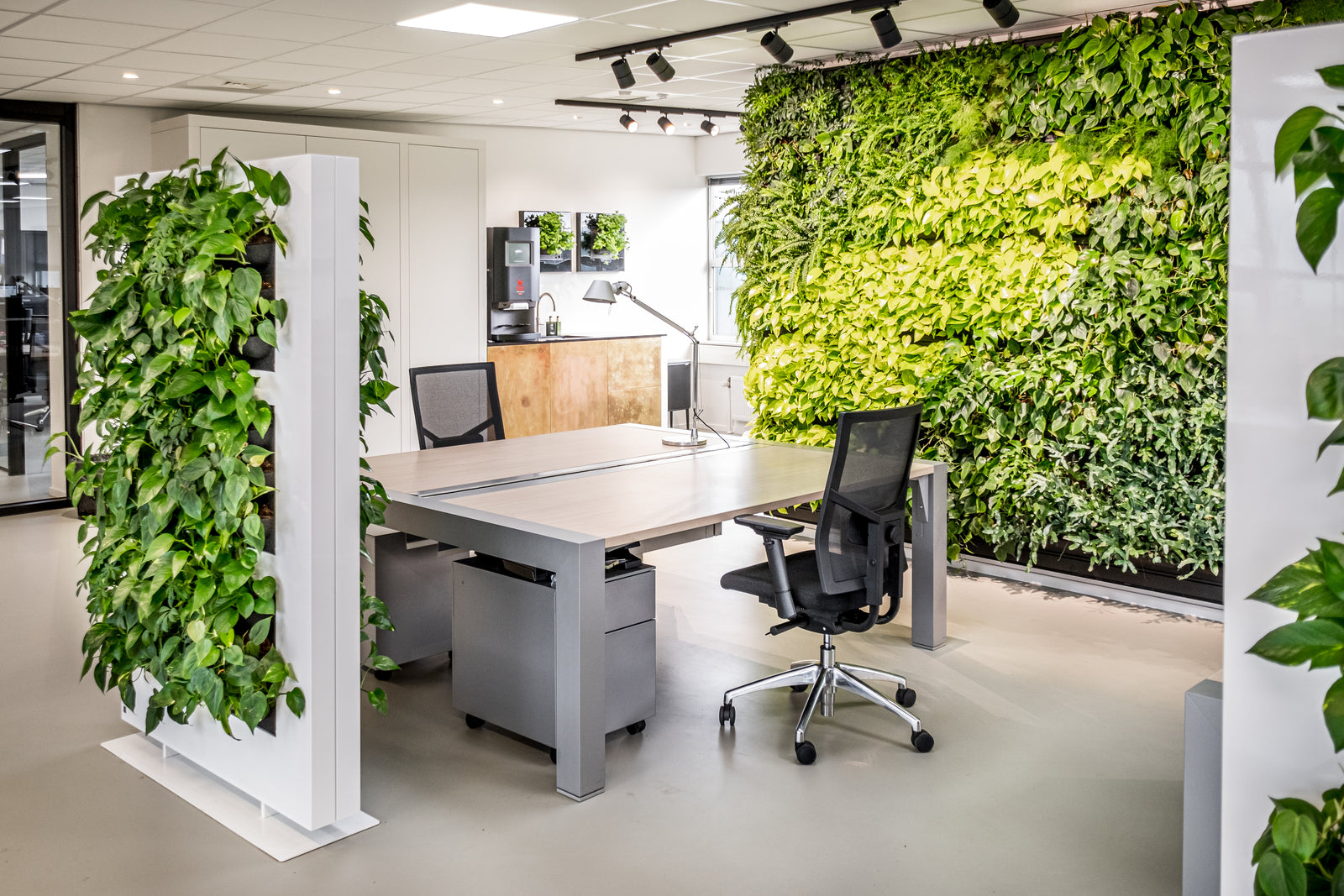 LivePanel Indoor Living Wall