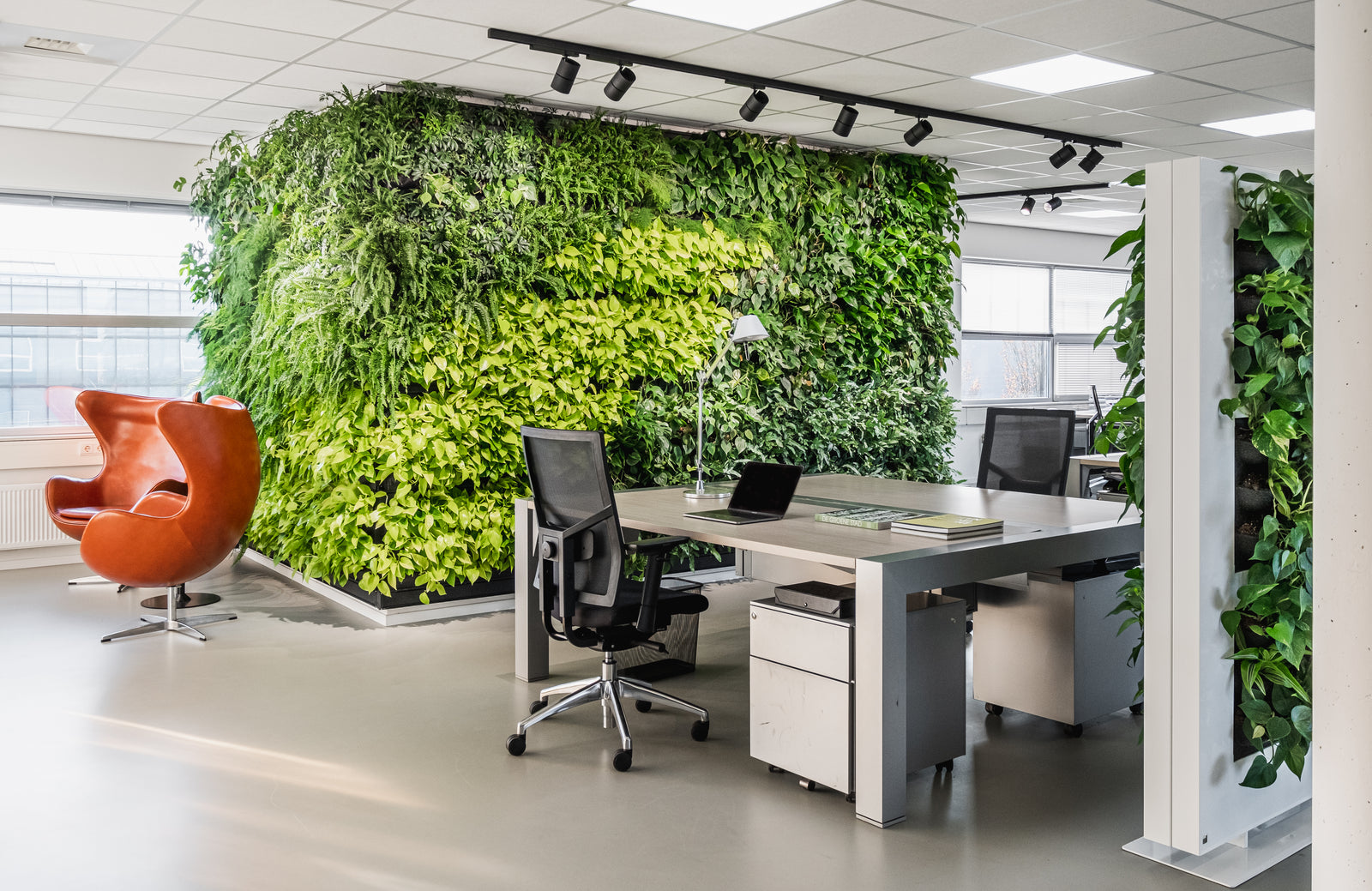 LivePanel Indoor Living Wall