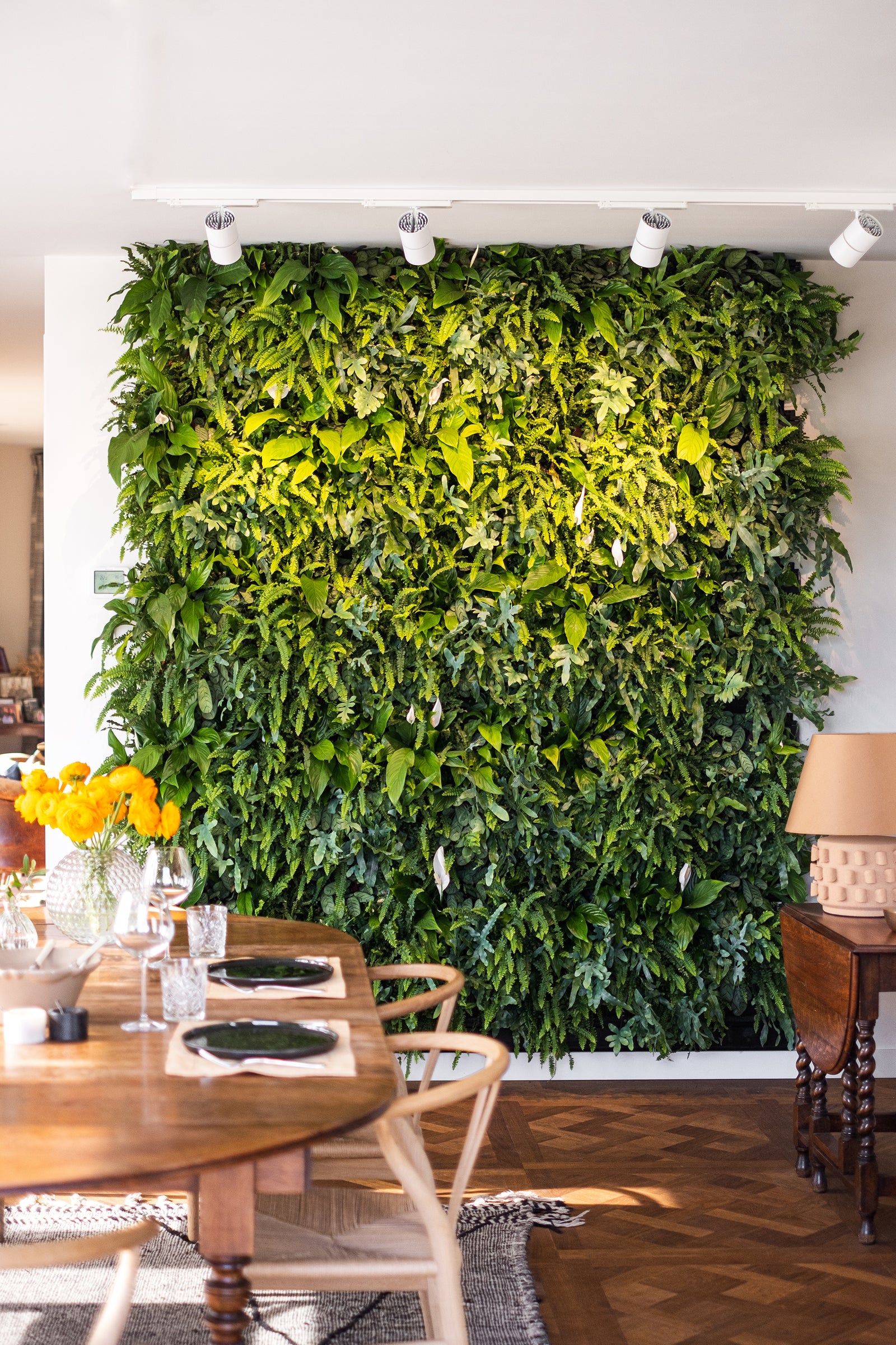 Frameless Living Wall System