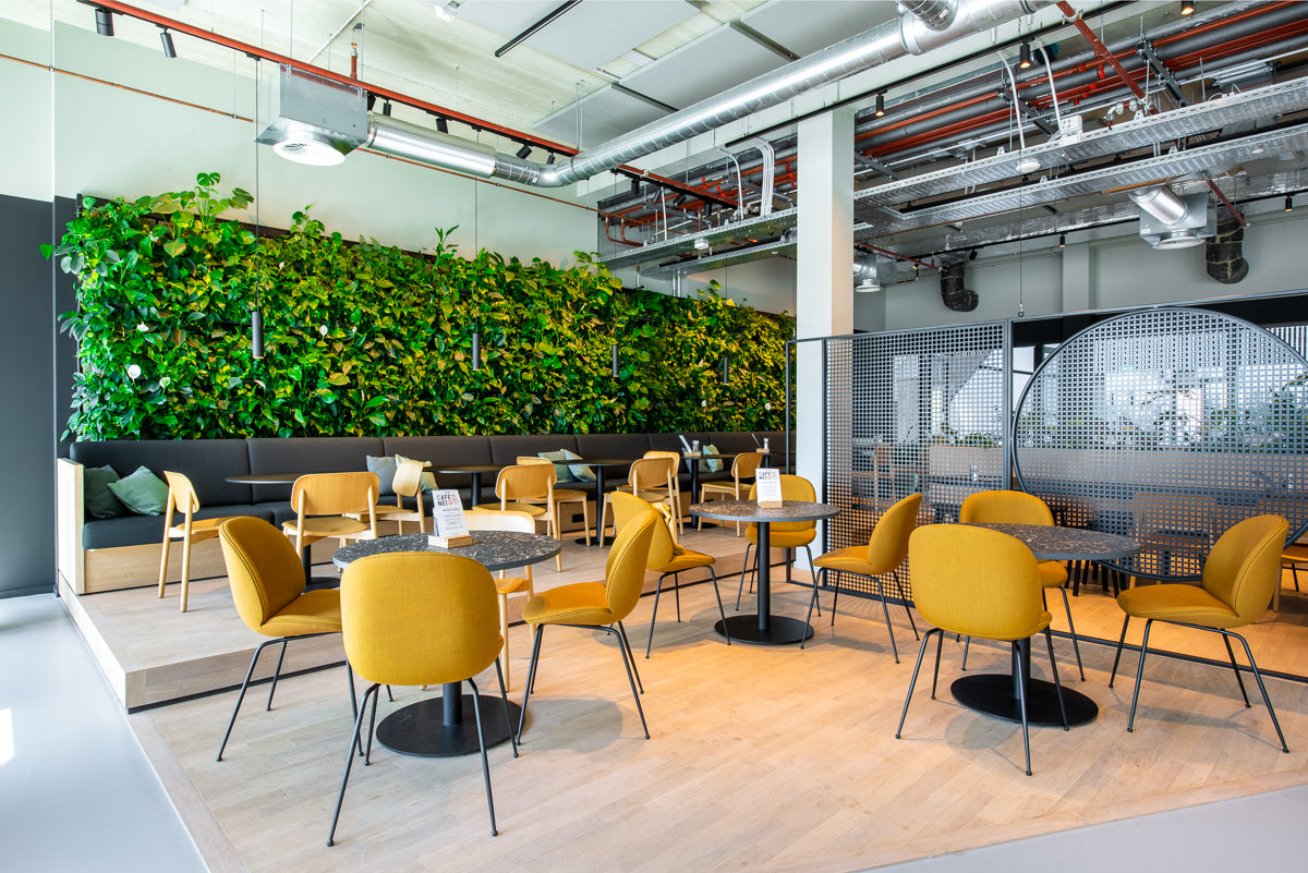 LivePanel Indoor Living Wall