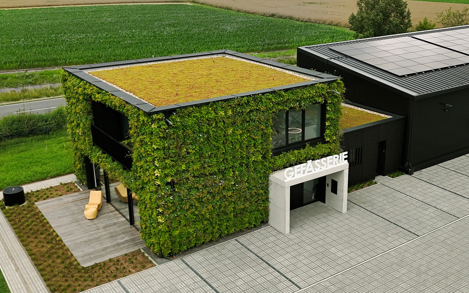 GreenRoof Sedum Panels