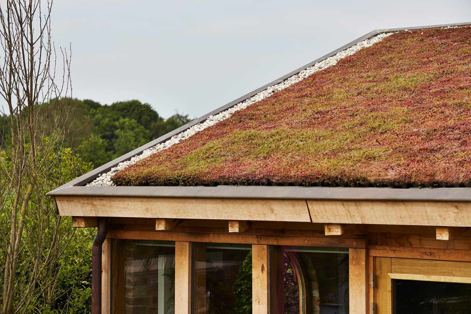 GreenRoof Sedum Panels