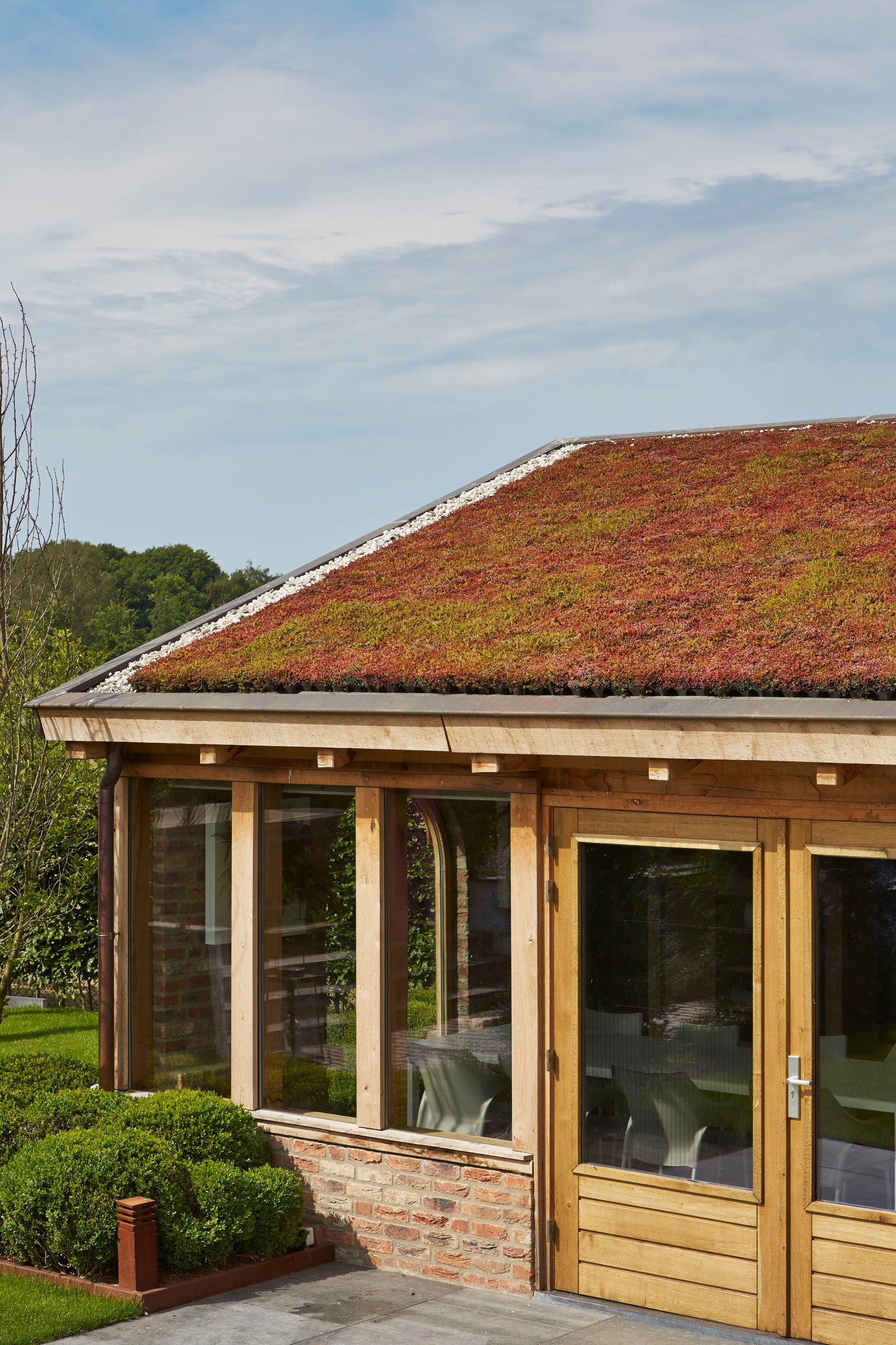 GreenRoof Sedum Panels