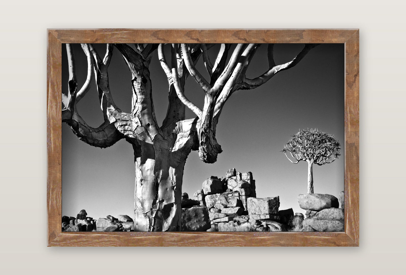 framed