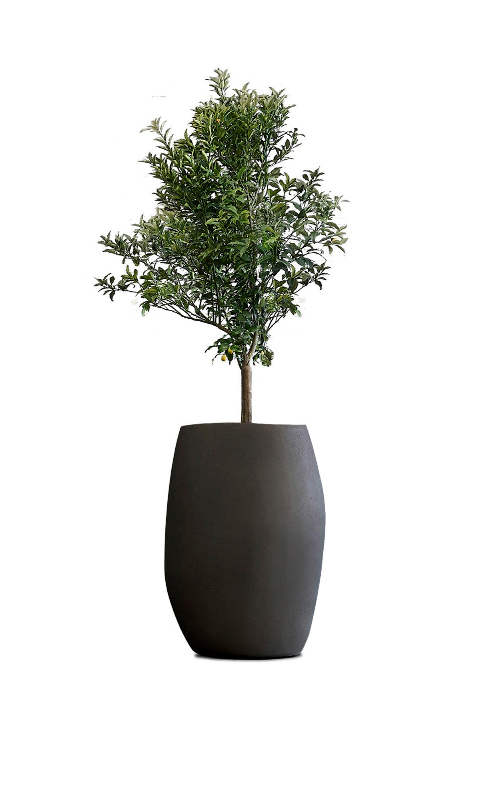 Pebble Planter Stone