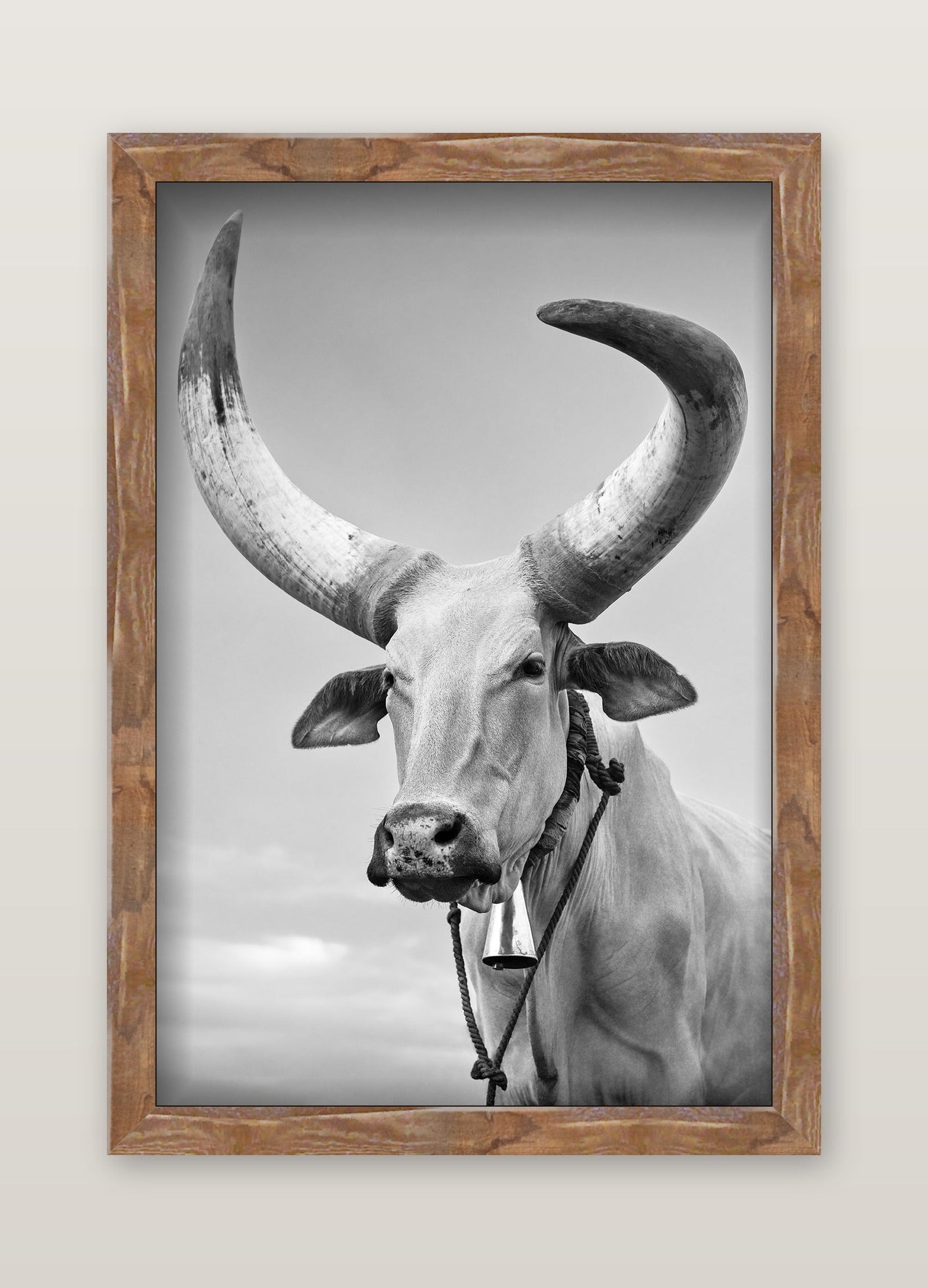 framed