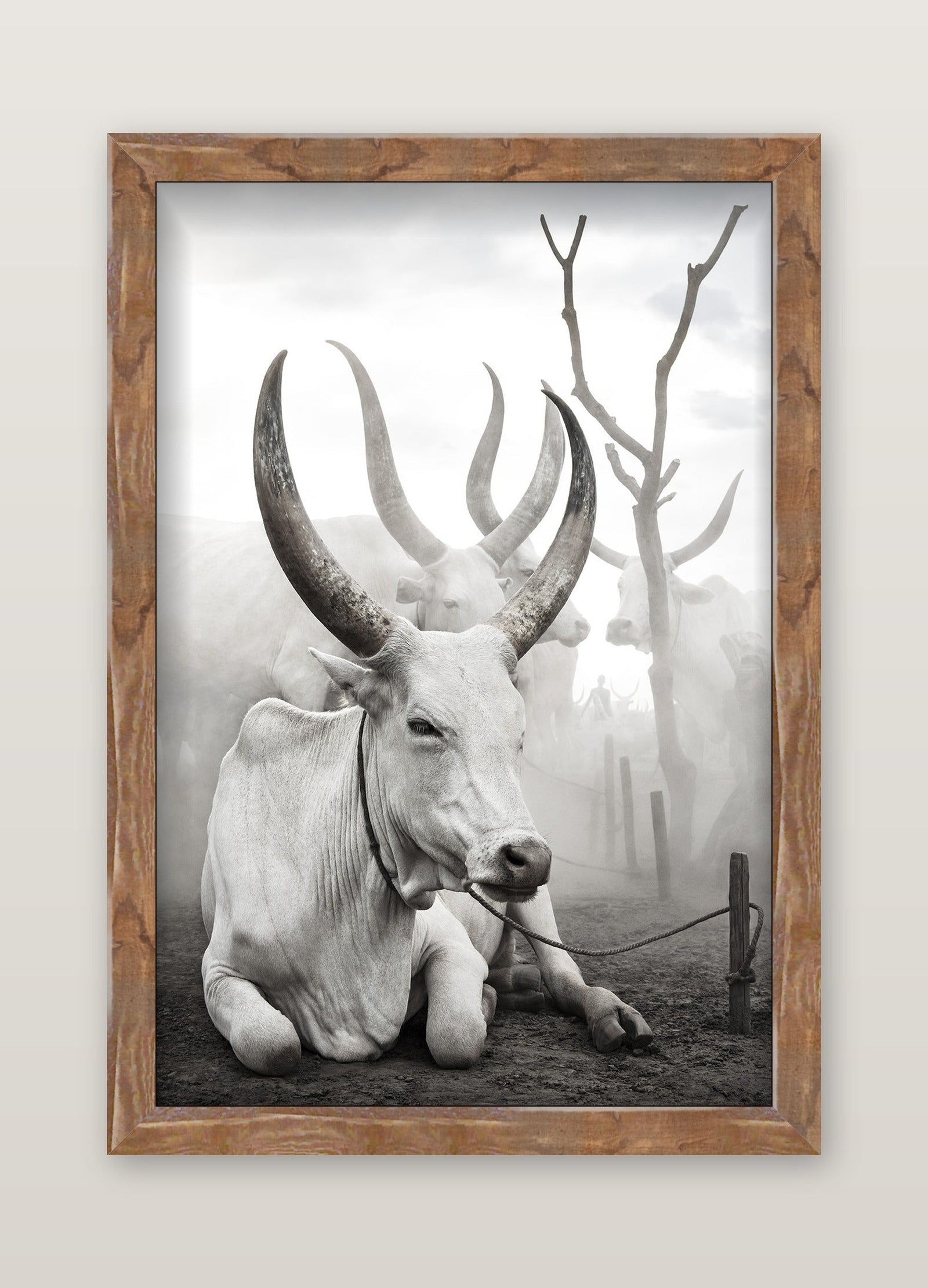 framed