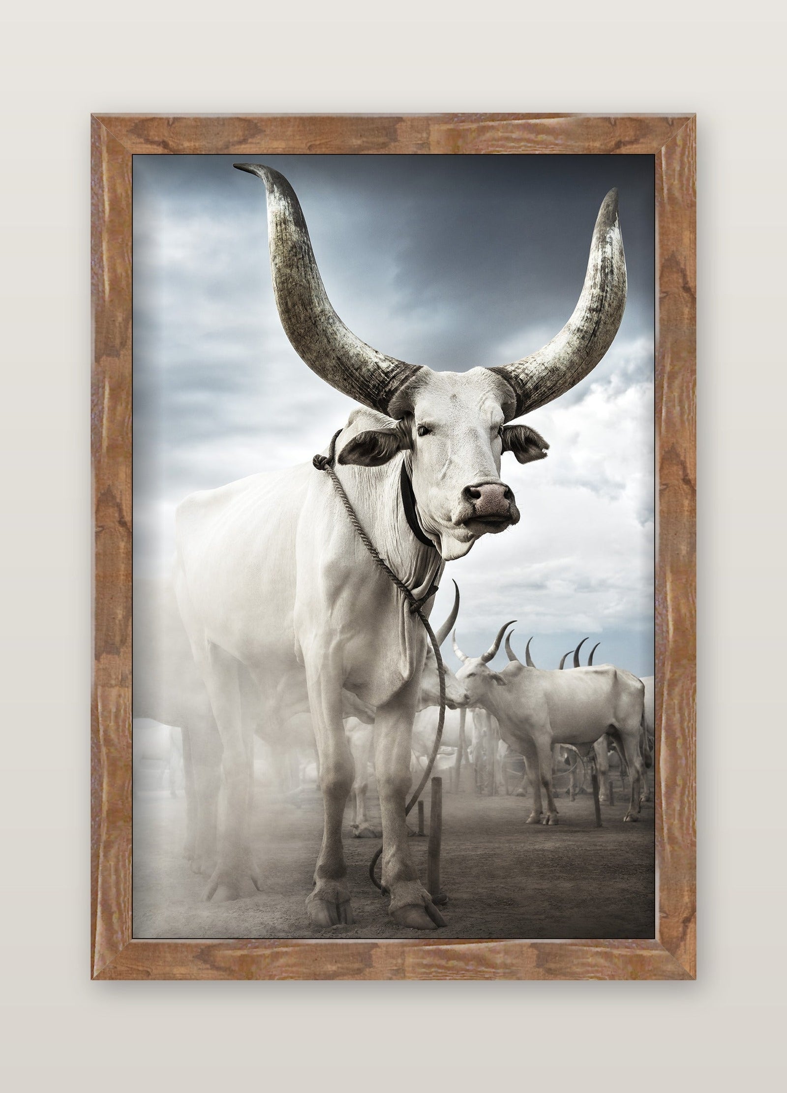 framed