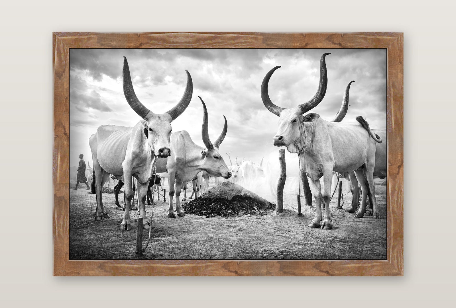 framed