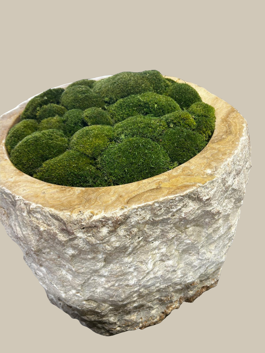 Raw Edge Onyx Planter Pot