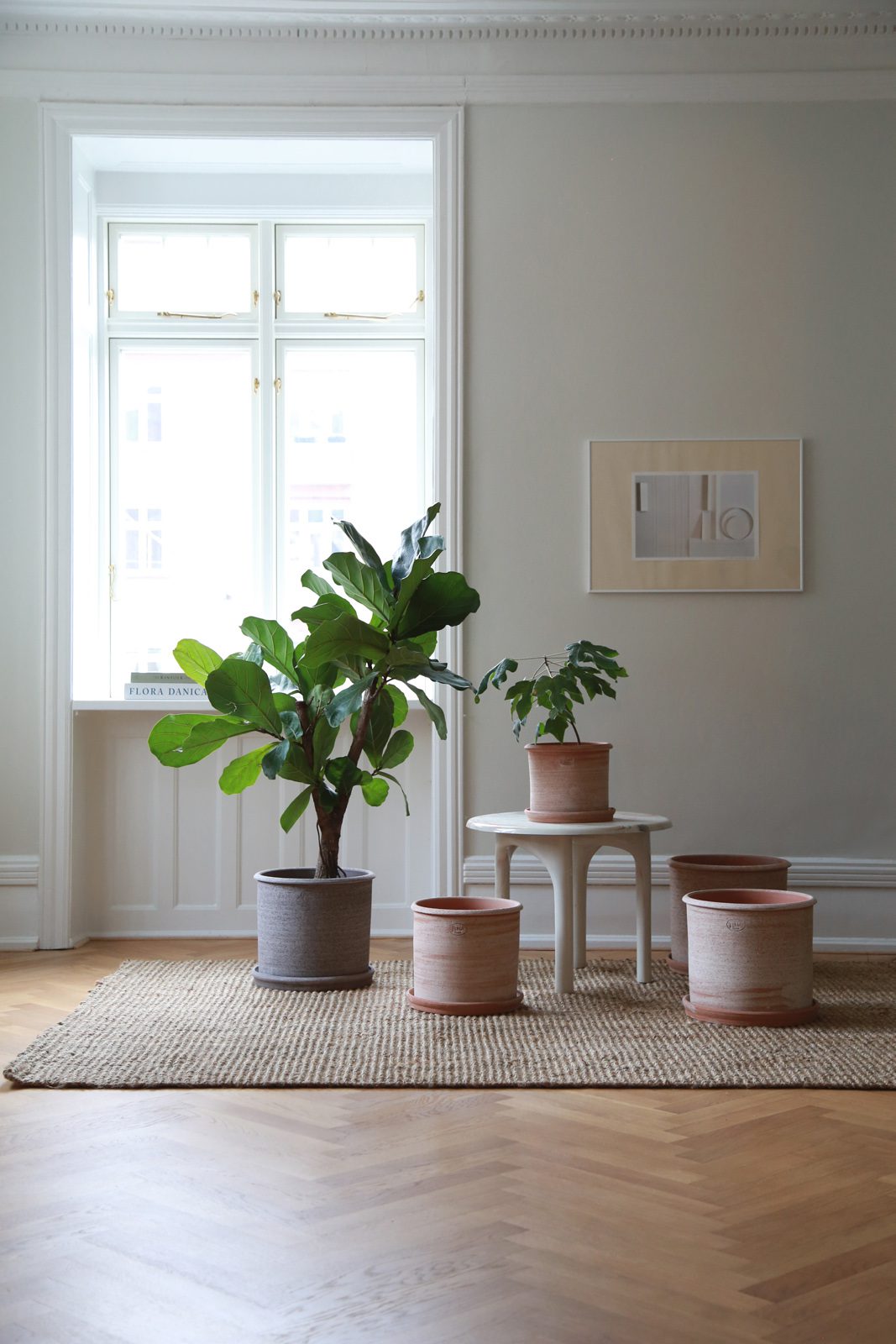 Modena Terracotta Pot Raw