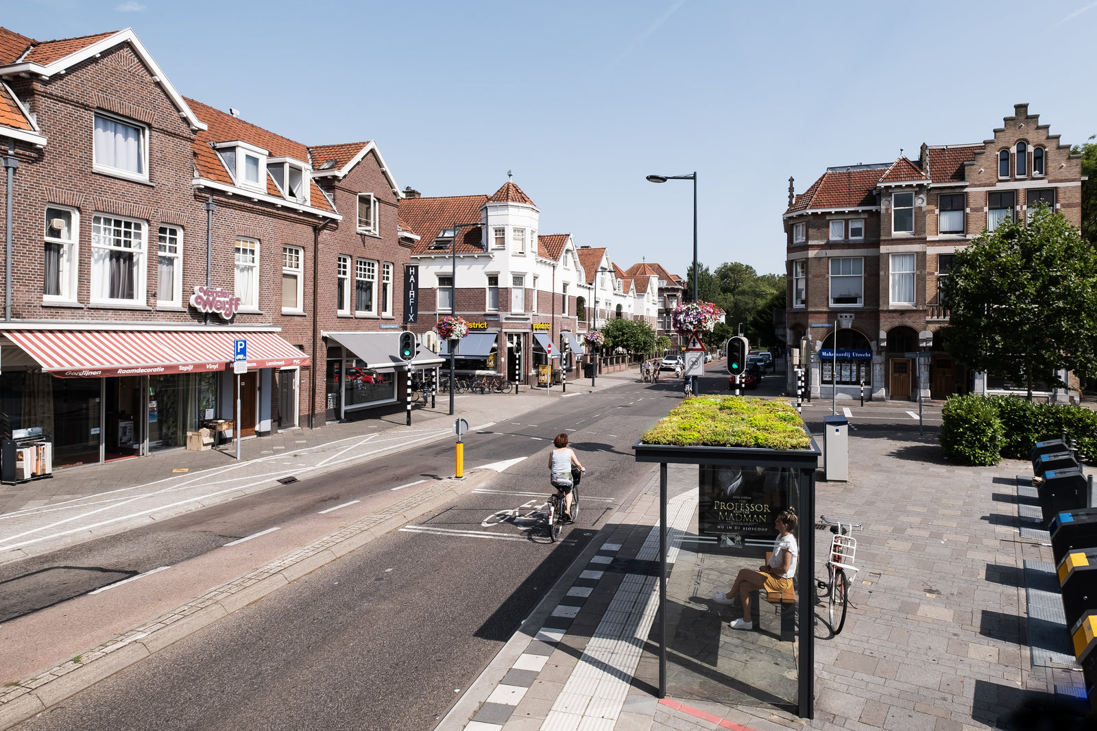 GreenRoof Sedum Panels