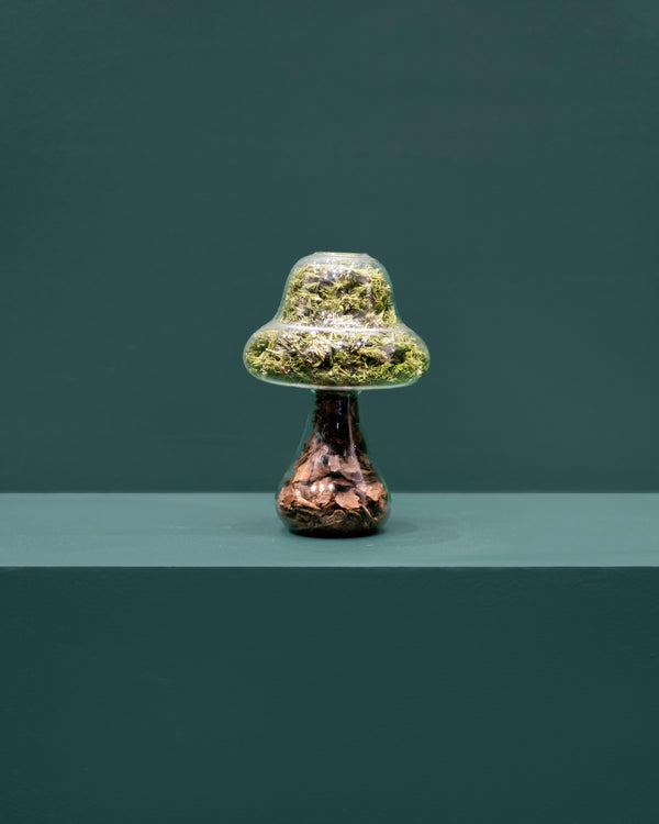 Tall glass moss mushroom with a natural-bark stem and a domed cap of green preserved moss