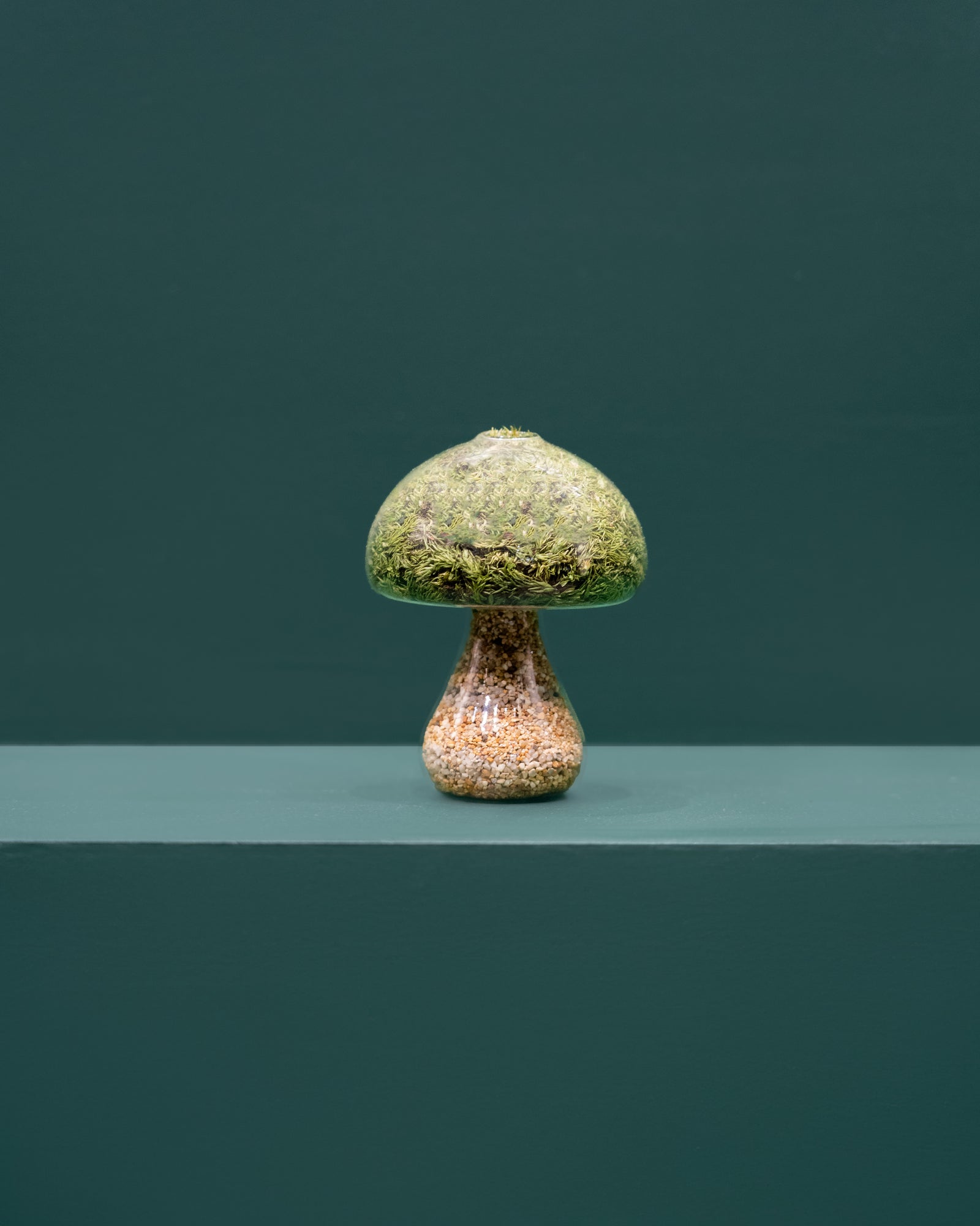 Moss Mushroom - Round - Natural Stone
