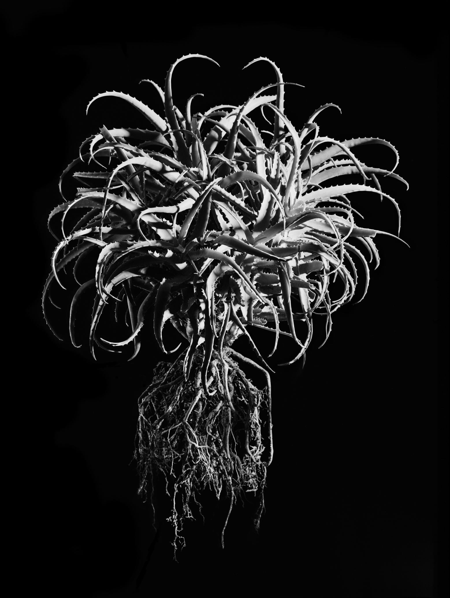 He gained his Fine Art Degree with Honours in photography in 2004, and after several years working in commercial photography returned his focus to his fine art roots