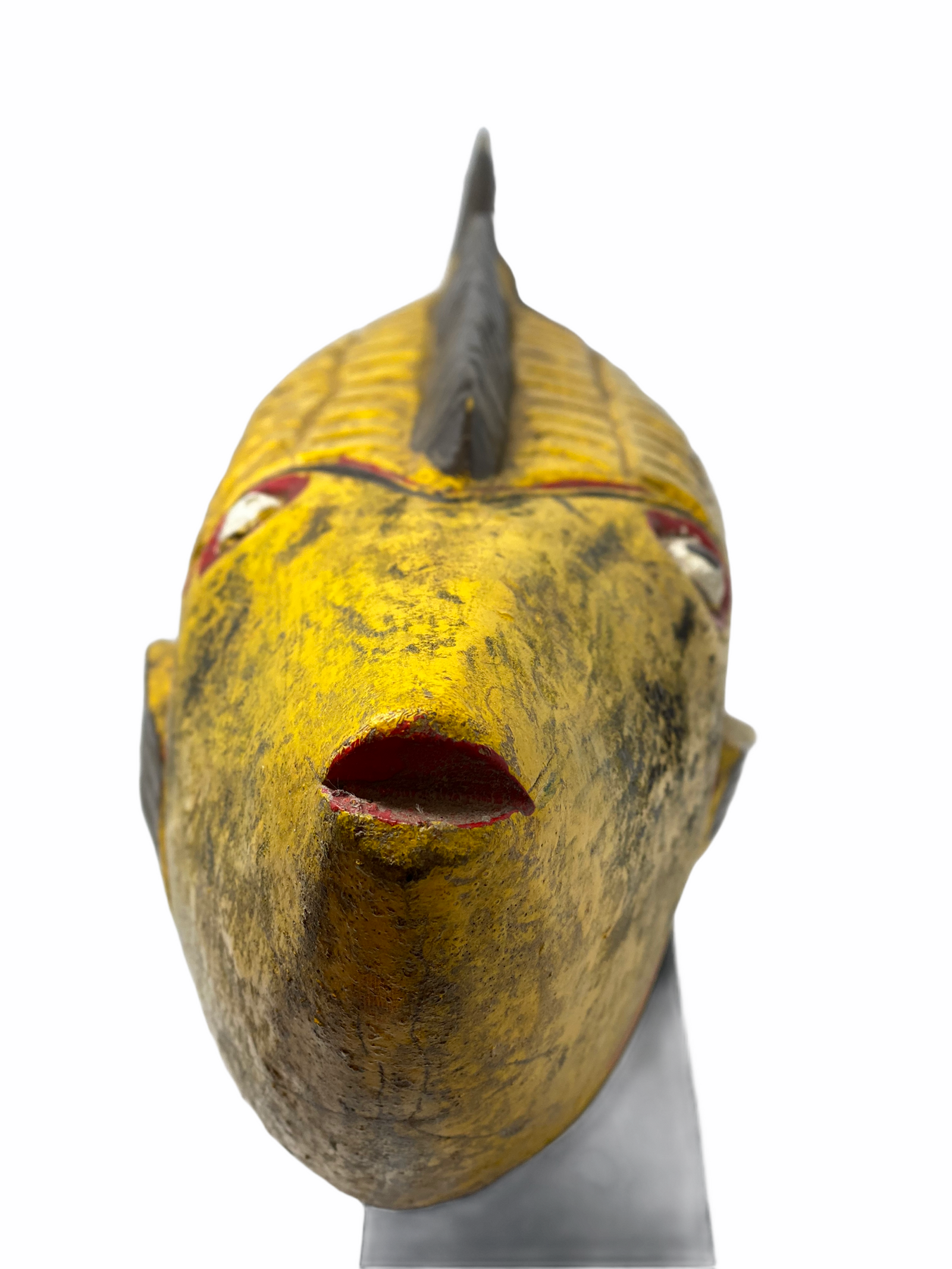 Puppet Fish Mali - Large