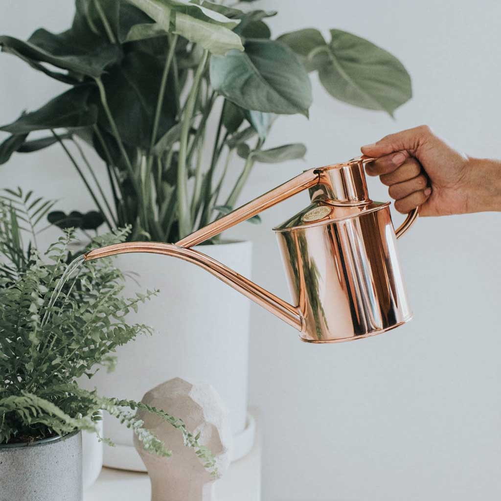 Fazeley Flow- Two Pint Copper Pot by HAWS