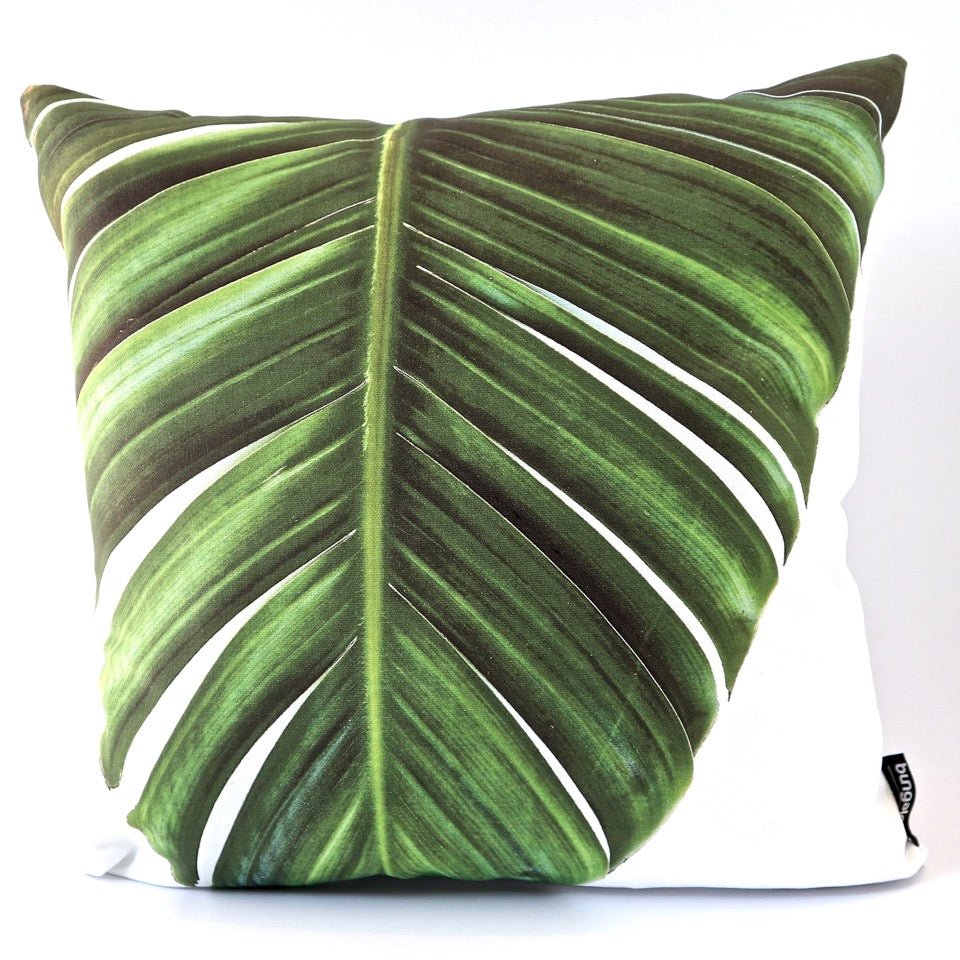 Wild Strelitzia botanical print scatter cushion cover on canvas, 45cm