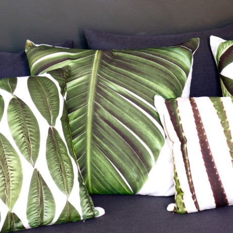 Wild Strelitzia cushion cover — another view
