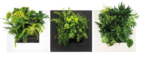 Bamboo Living Wall Picture Frame - Natural