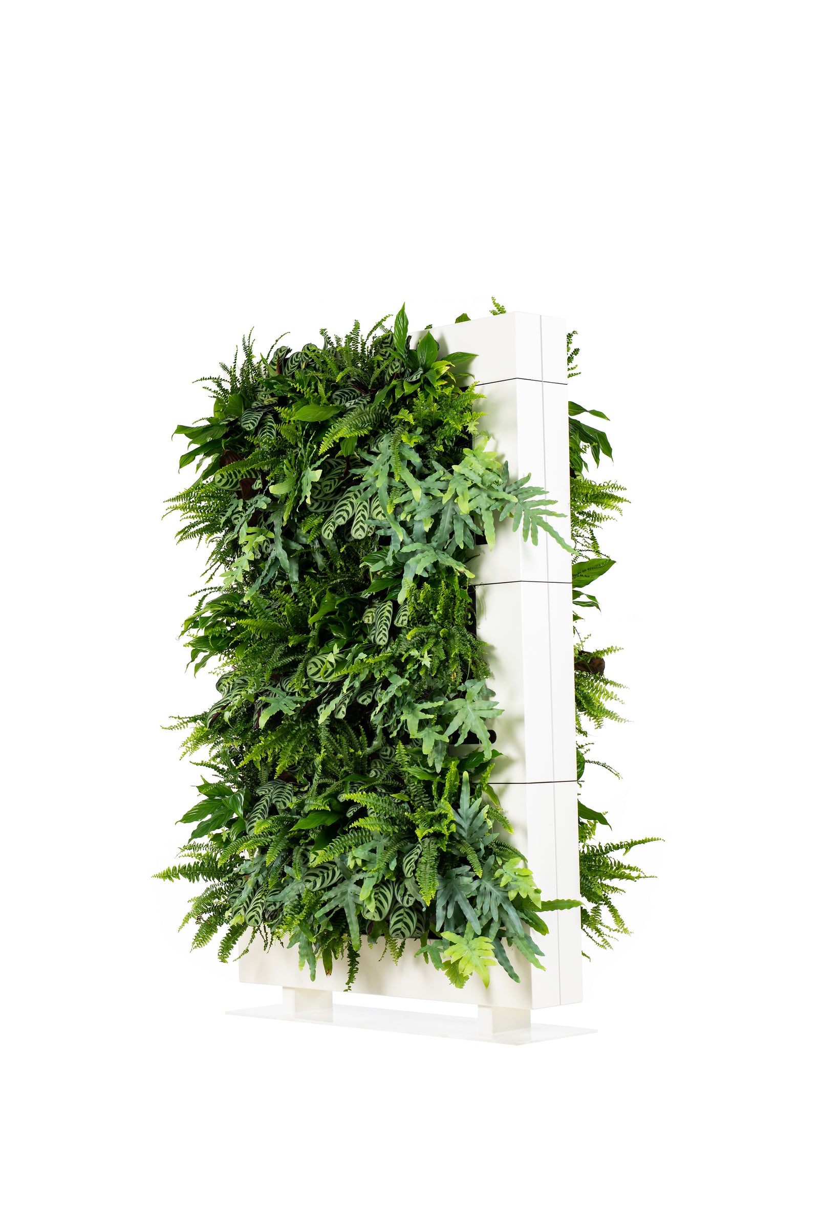 Living Wall Divider - 180.5cm - White