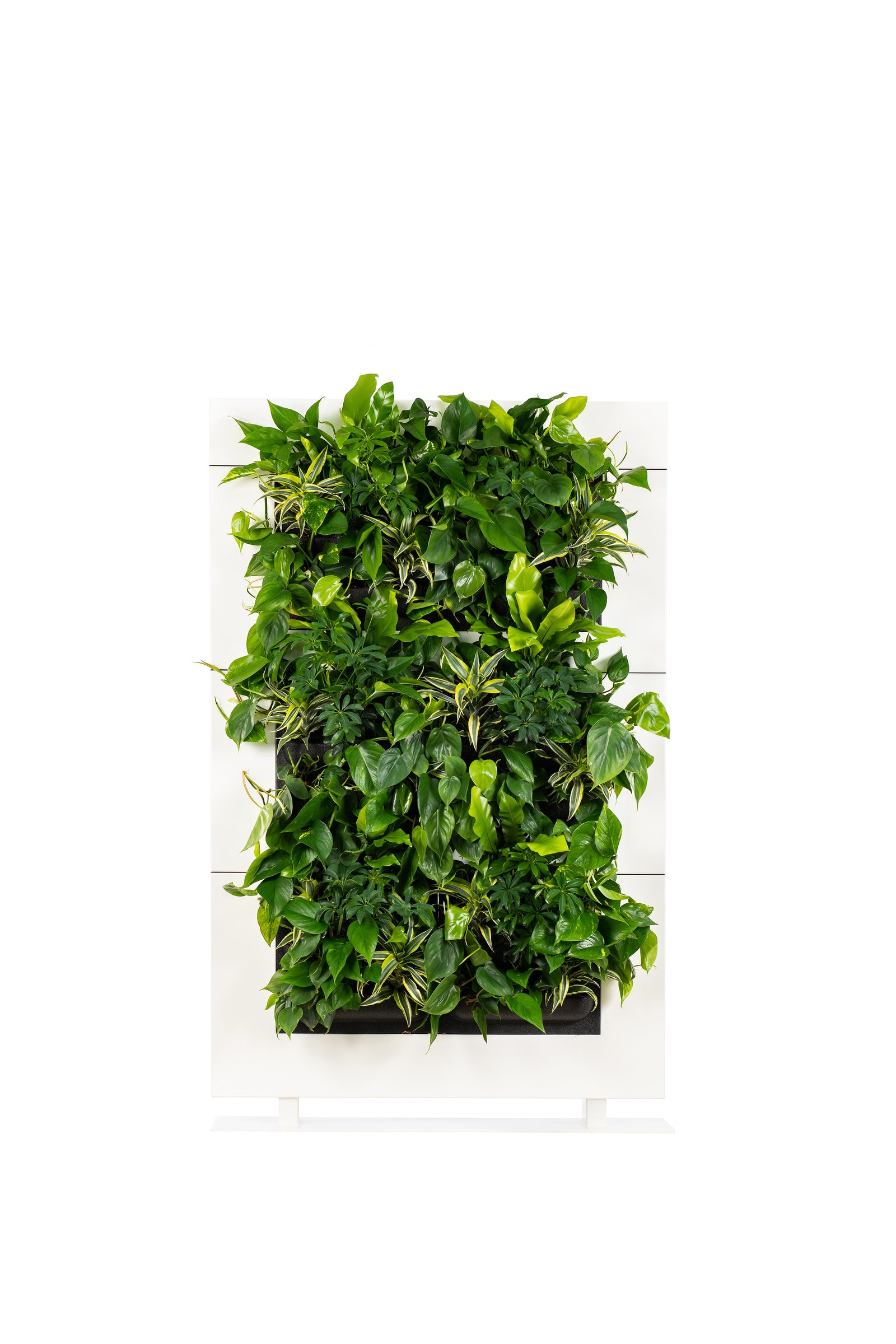 Living Wall Divider - 180.5cm - White
