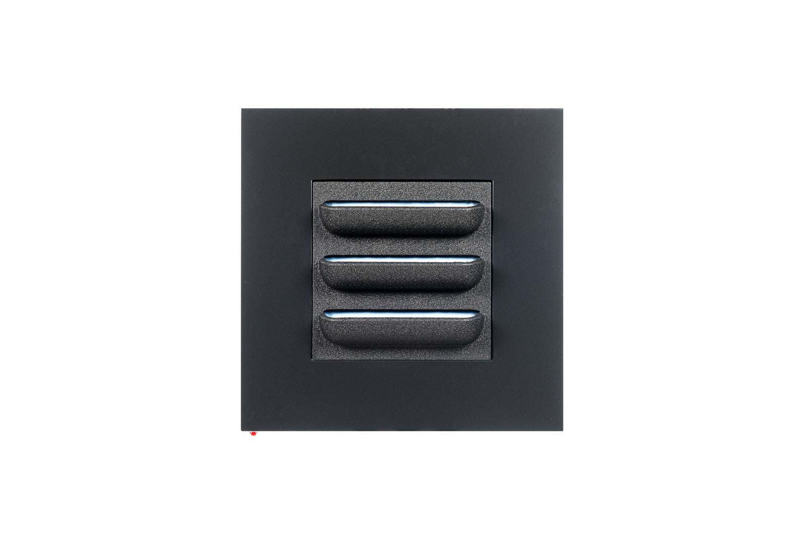 LIVE PICTURE - Living wall frame - 72cm - Black