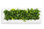 LIVE PICTURE - Living wall frame - 192cm - White