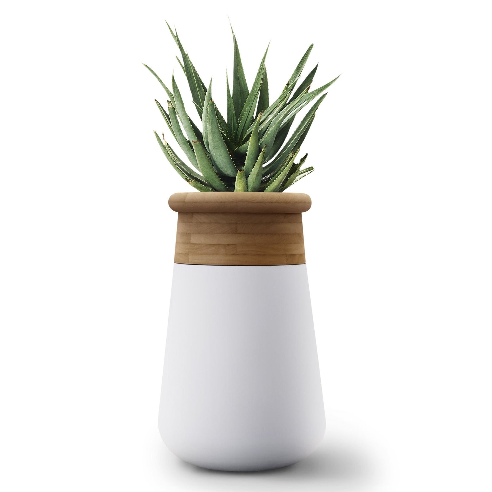 Soma Planter Wood