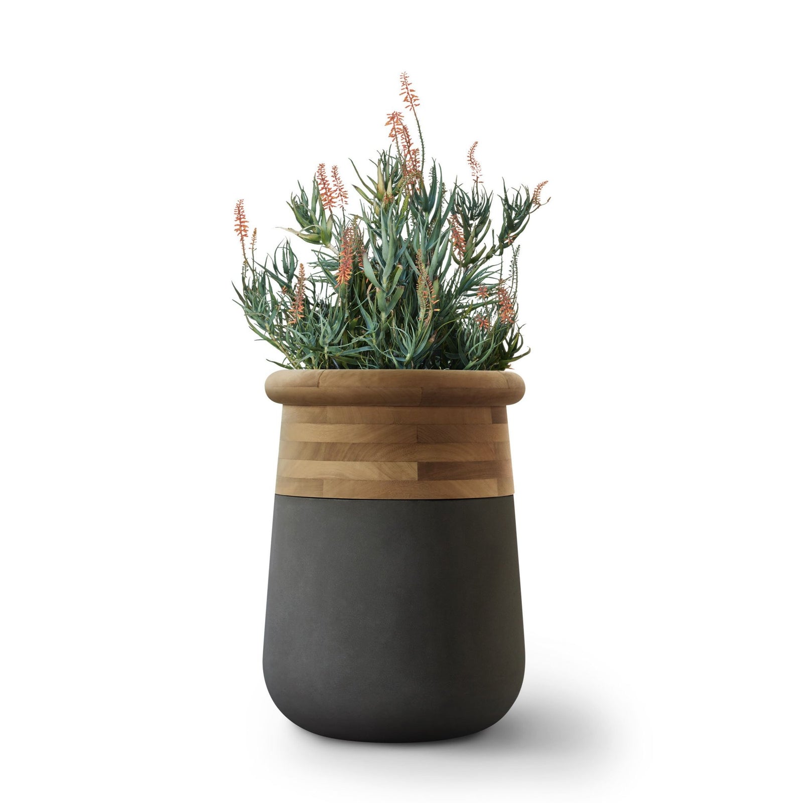 Soma Planter Wood