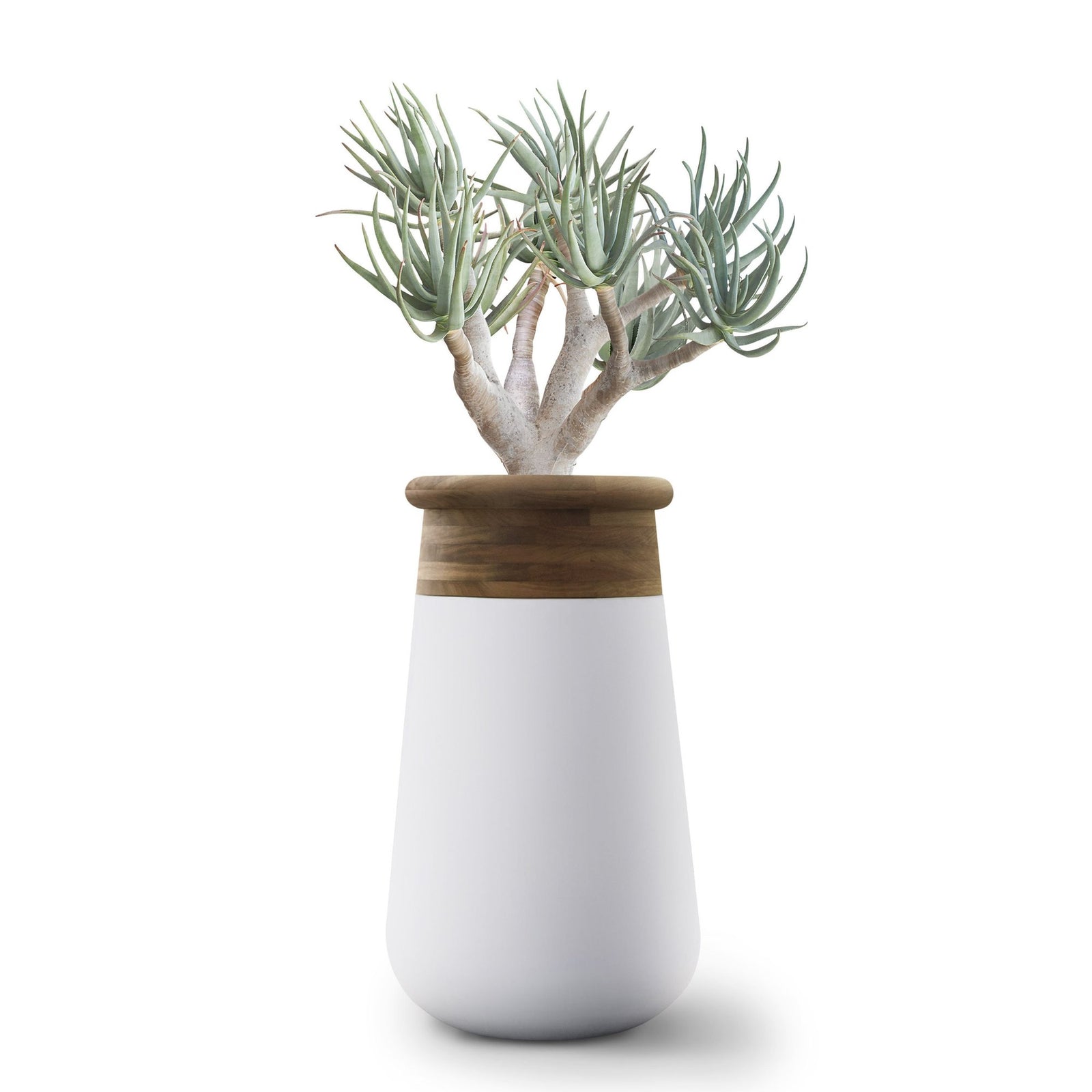 Soma Planter Wood