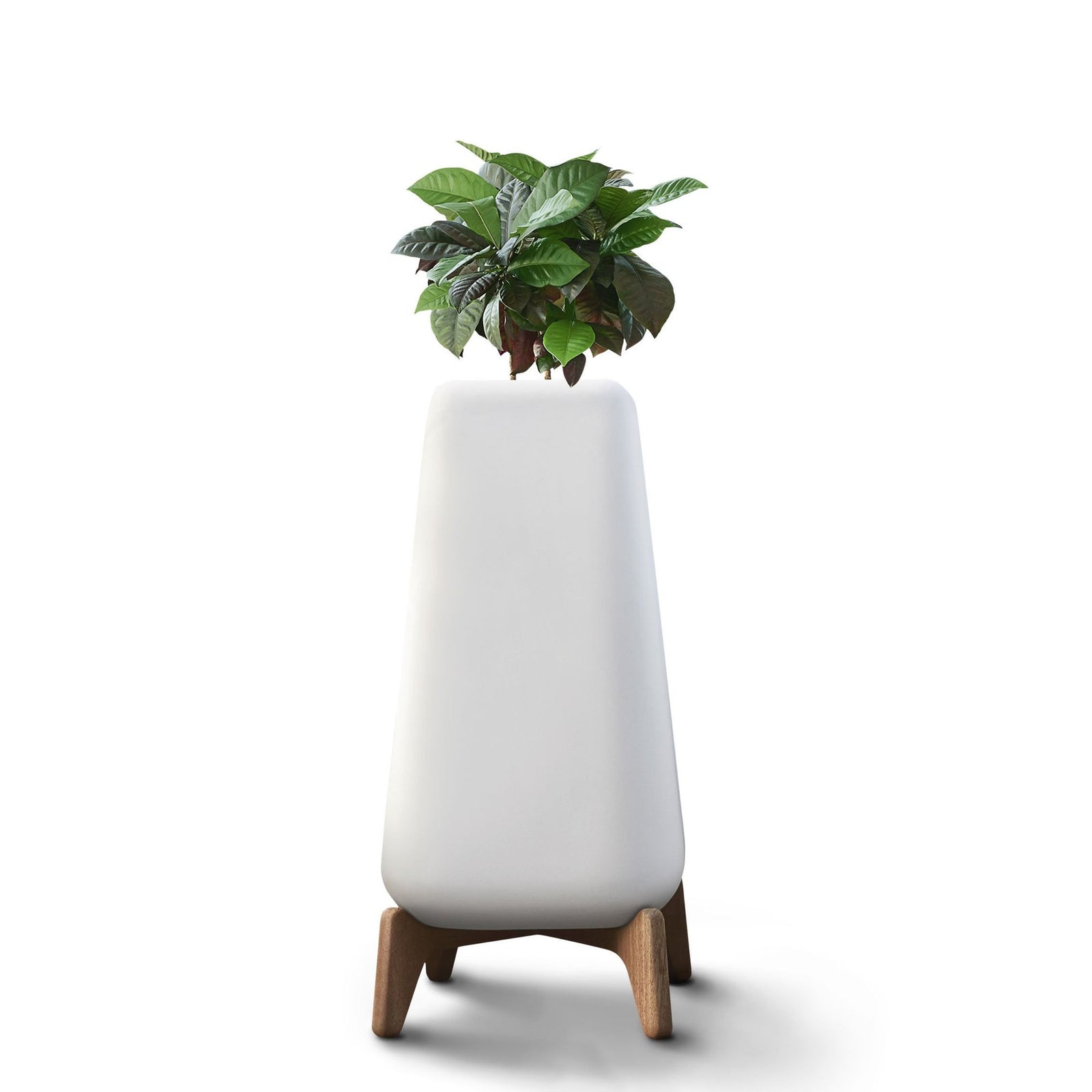 Terra Planter