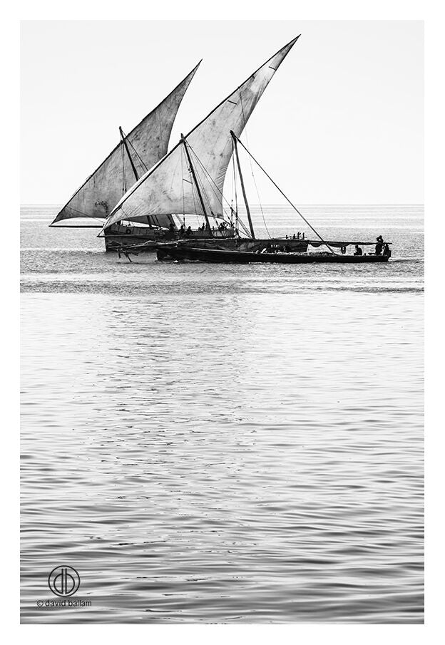 David Ballam - ZAN_57